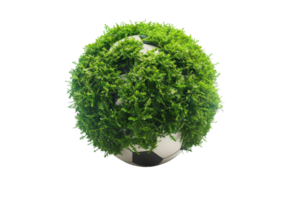 Soccer Ball Covered in Grass on Transparent Background png