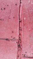 Observing a fascinating scene of a group of hardworking ants on a red pavement in an urban setting video