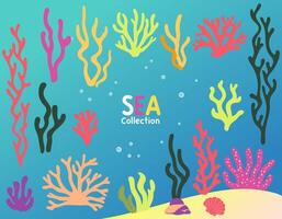 Seaweed and coral set. Colorful algae. Inhabitants of the sea. Flat cartoon underwater scene vector