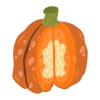 Single element of colorful orange autumn pumpkin Symbol of Halloween and Thanksgiving day. illustration on white background in doodle style. vector