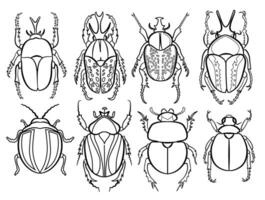 Outline tropical bug set Isolated on white background. Hand drawn illustration vector