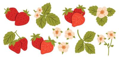 Red berry strawberry and a half of strawberry. Flat illustration set flower, petal, strawberry isolated on white background for printing on fabric, labels and for web pages.. vector