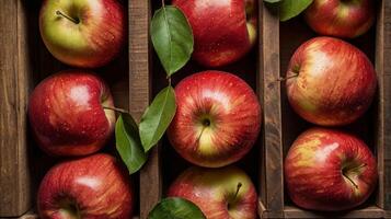 red apples in wooden box on transparent background photo