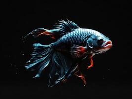 Minimalist depiction of an aggressive betta fish on a pitch black background. photo