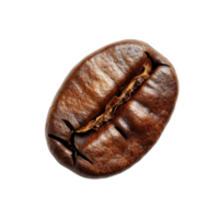 koffie Boon geïsoleerd Aan transparant achtergrond met knipsel pad.3d geven png