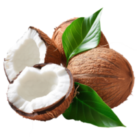 Coco con hojas aislado en transparente antecedentes con recorte camino.3d hacer png