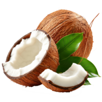 Coconut with leaves iisolated on transparent background With clipping path.3d render png