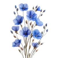 Flax flowers isolated on transparent background With clipping path. cut out. 3d render png
