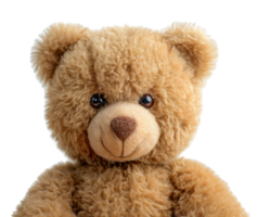 Cute teddy bear isolated on transparent background With clipping path.3d render png