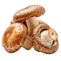 Brown cap champignons or agaricus mushrooms isolated on transparent background With clipping path. 3d render png