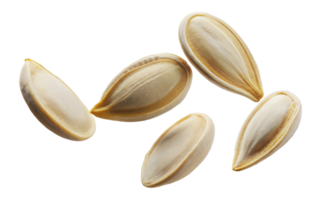 Five raw, shelled pumpkin seeds floating, cut out - stock png. png
