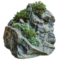 Closeup of overgrown lichen on a gray rock in a natural setting, cut out - stock png. png