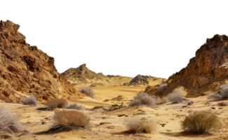 Desert landscape with rocky cliffs and sparse vegetation in the sahara desert, cut out - stock png. png