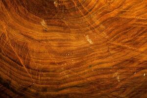 Dark wooden texture. Wood brown texture. Background old panels. Retro wooden table. Rustic background. Vintage colored surface. photo