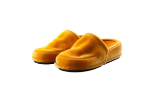 Casual Slipper isolated on transparent background. png