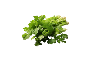 Coriander isolated on transparent background. png