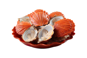 Crab Shells isolated on transparent background. png