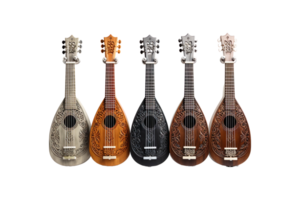 Dilruba Instruments isolated on transparent background. png