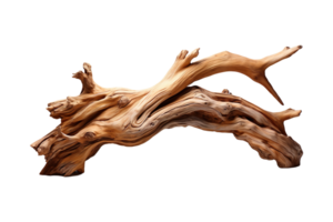 Driftwood Sculptures isolated on transparent background. png