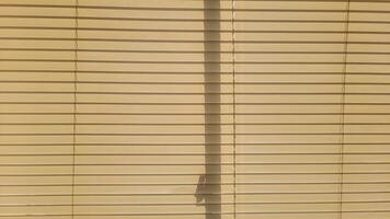 window with closed shutter on a sunny day photo