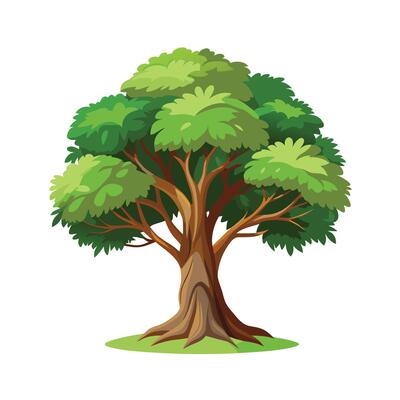 Beautiful Single Big Tree Illustration