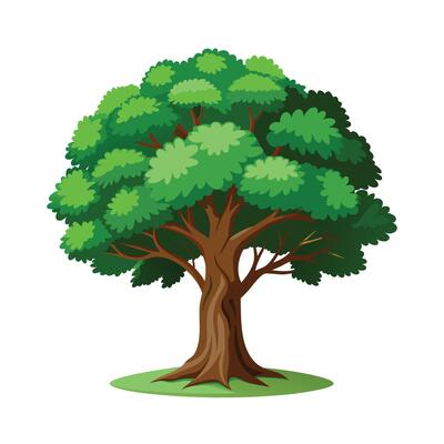 Beautiful Single Big Tree Illustration