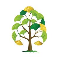 Beautiful Single Big Tree Illustration vector