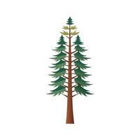 Beautiful Single Big Tree Illustration vector