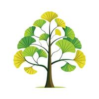 Beautiful Single Big Tree Illustration vector