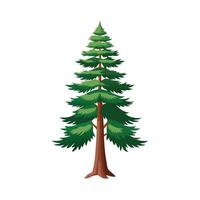 Beautiful Single Big Tree Illustration vector