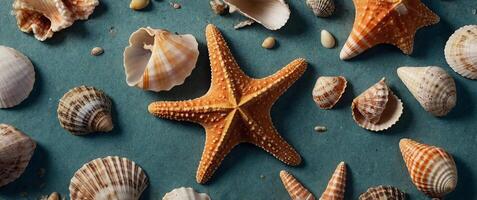 Summer concept with starfish and seashells overhead view - flat lay. photo