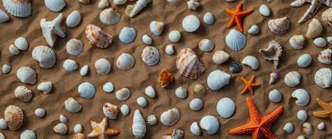 Summer concept with starfish and seashells overhead view - flat lay. photo