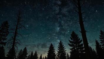 The beauty of the night sky in the middle of the forest. photo