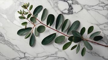 Watercolor eucalyptus branches on marble stone table top view Floral composition Flat lay, top view, copy space. photo