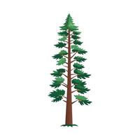 Beautiful Single Big Tree Illustration vector