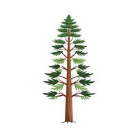 Beautiful Single Big Tree Illustration vector