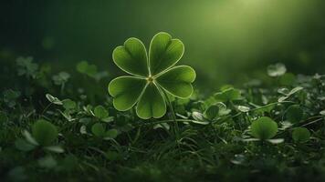 Irish background with clover on green background, st patrick's day. photo