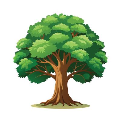 Beautiful Single Big Tree Illustration