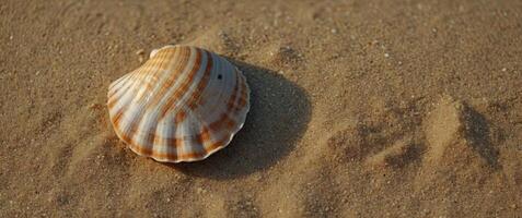 Flat lay composition with seashell on sand colored background Summer, vacation concept top view. photo