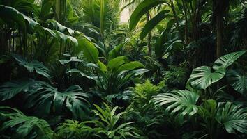 Lush green leaves of various shapes and sizes create a dense, vibrant tropical foliage backdrop, showcasing the beauty and diversity of plant life. photo