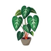 Beautiful Flowerpot Houseplant Illustration vector
