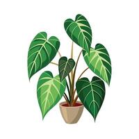 Beautiful Flowerpot Houseplant Illustration vector