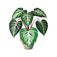 Beautiful Flowerpot Houseplant Illustration vector