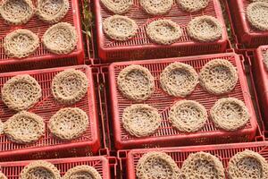 Raw crackers called Kerupuk are in the process of drying around the rice fields photo