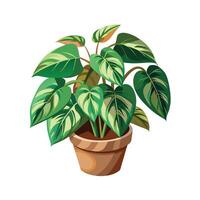 Beautiful Flowerpot Houseplant Illustration vector