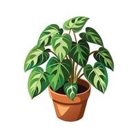 Beautiful Flowerpot Houseplant Illustration vector