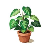 Beautiful Flowerpot Houseplant Illustration vector