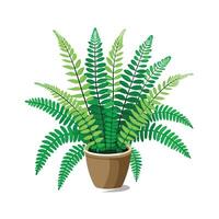 Beautiful Flowerpot Houseplant Illustration vector