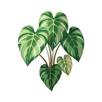 Beautiful Flowerpot Houseplant Illustration vector
