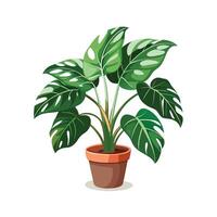 Beautiful Flowerpot Houseplant Illustration vector